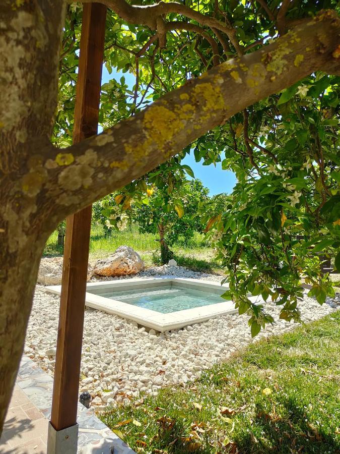Suite Private Pool