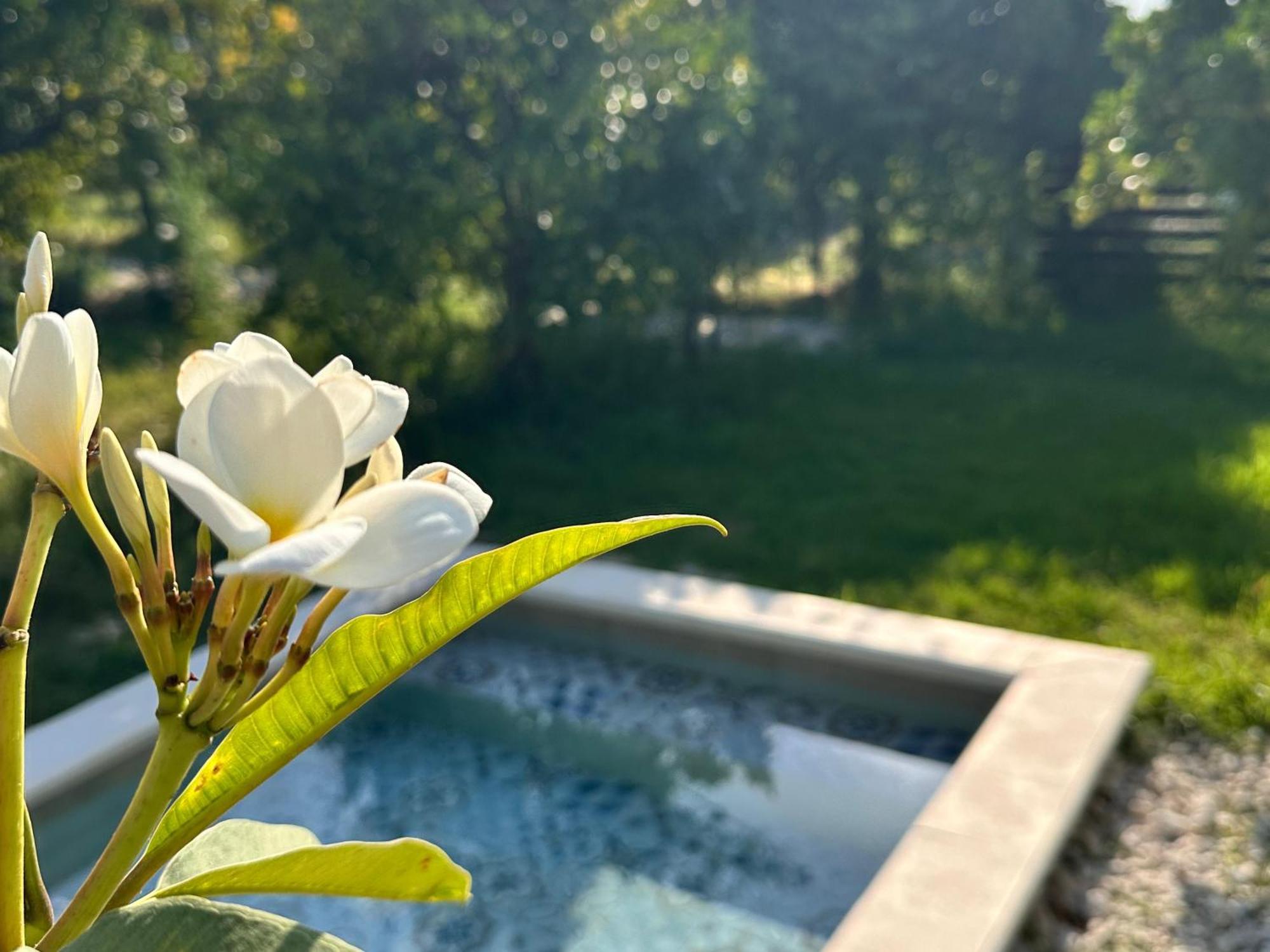 Suite Private Pool
